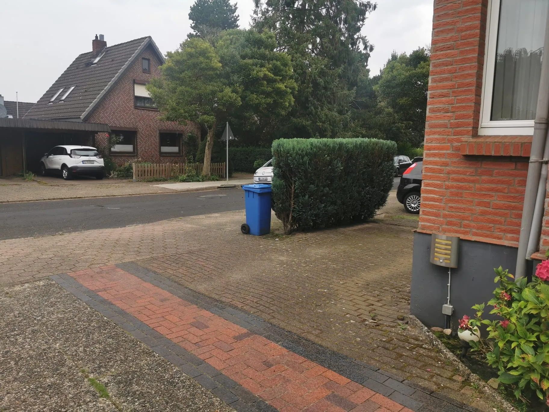 Heckenschnitt Heist Nachher - Präziser Rückschnitt für gesundes Wachstum.