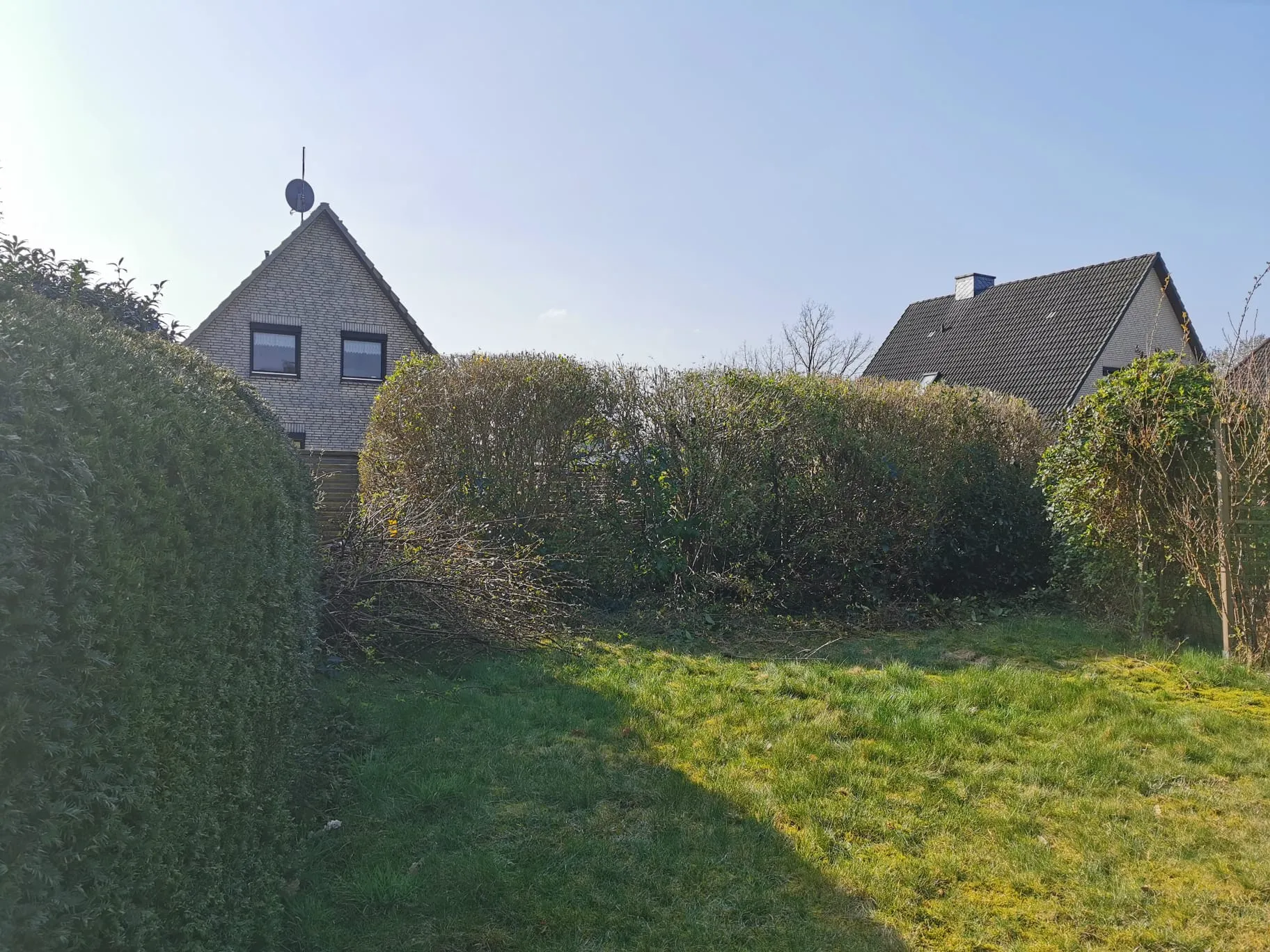 Heckenschnitt Kreis Pinneberg Nachher - Saubere Konturen.