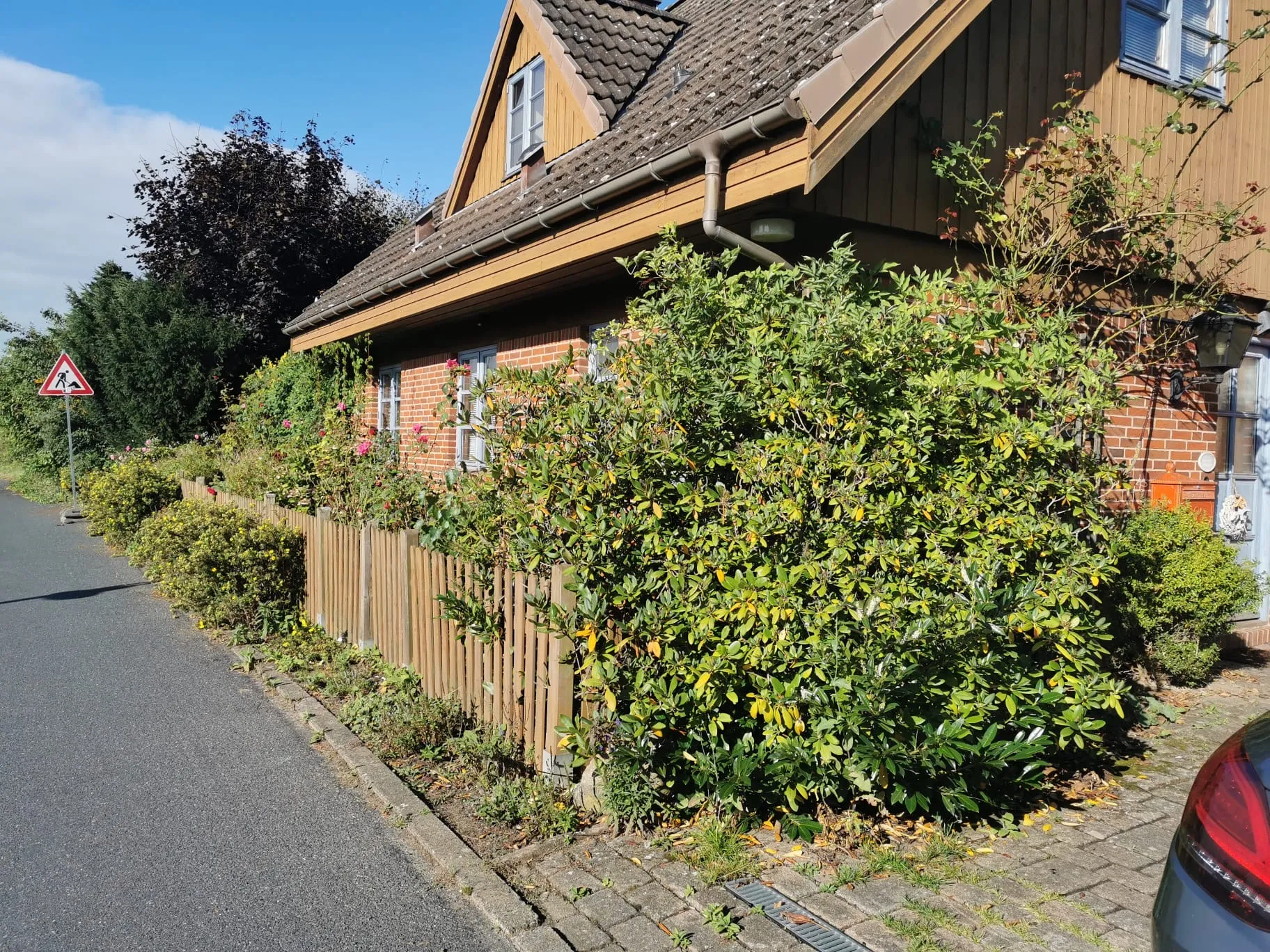 Heckenschnitt Heist Vorher